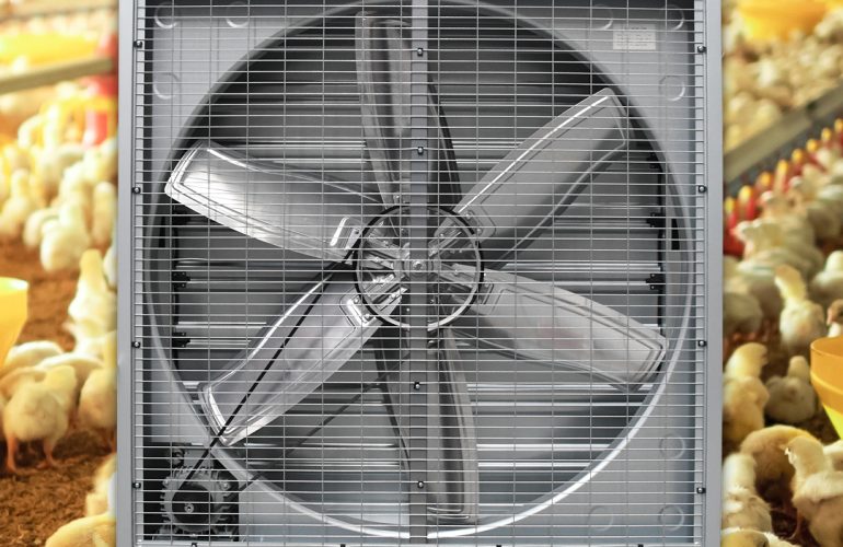 High volume wall fan for poultry farms, greenhouses, garage, basements, Agricultural spaces, warehouses