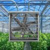Greenhouse Ventilation fan