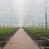 circulation fan in a green house