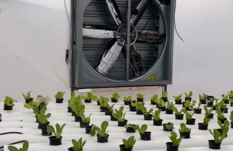 Heavy-duty hydroponic extractor fan for greenhouse and grow room ventilation in Kenya