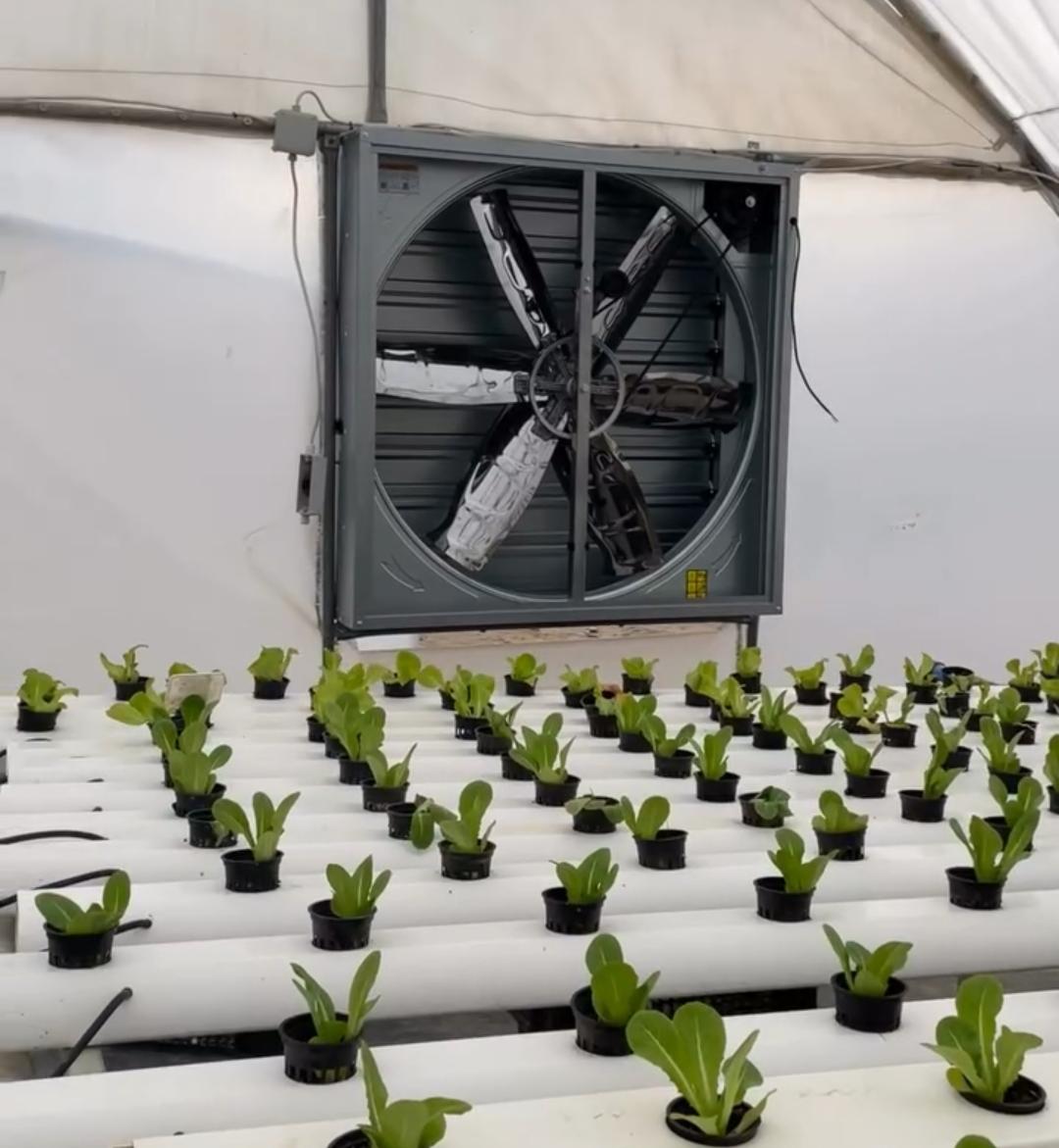 Heavy-duty hydroponic extractor fan for greenhouse and grow room ventilation in Kenya