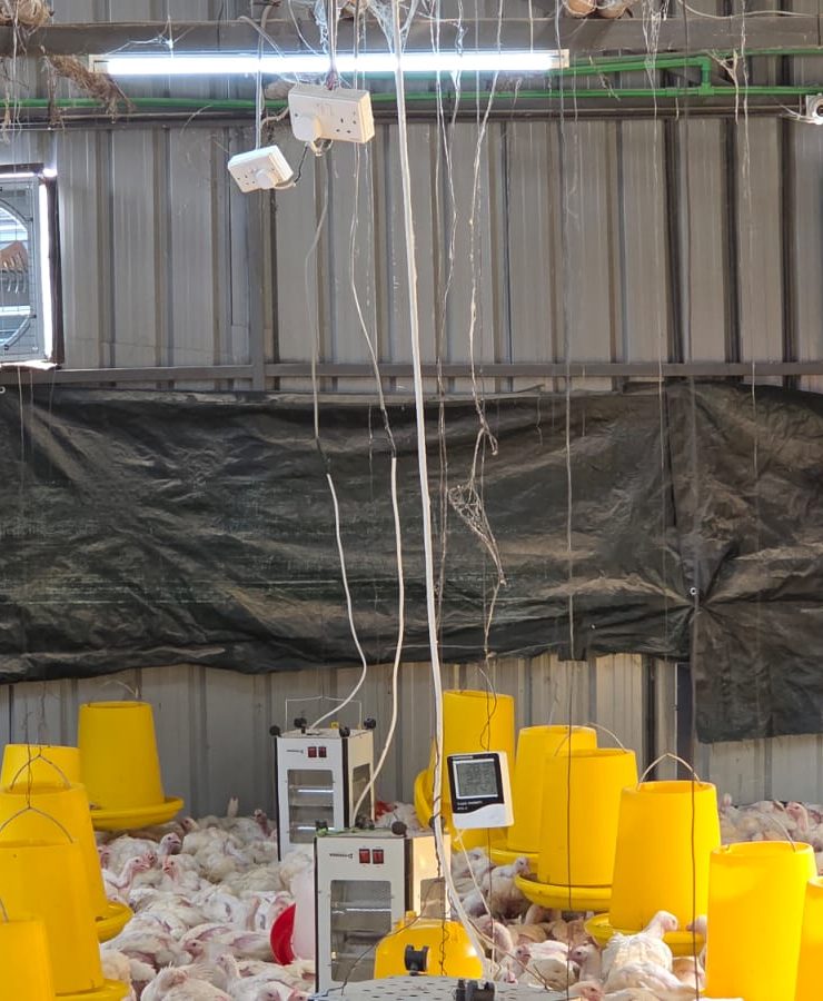 Industrial wall fan installation in a poultry house in Nairobi Kenya