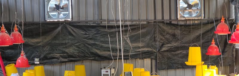 Industrial wall fan installation in a poultry house in Nairobi Kenya