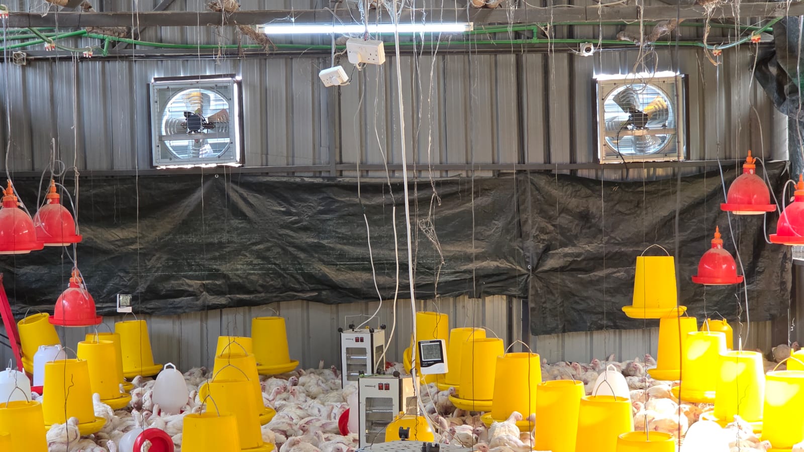 Industrial wall fan installation in a poultry house in Nairobi Kenya