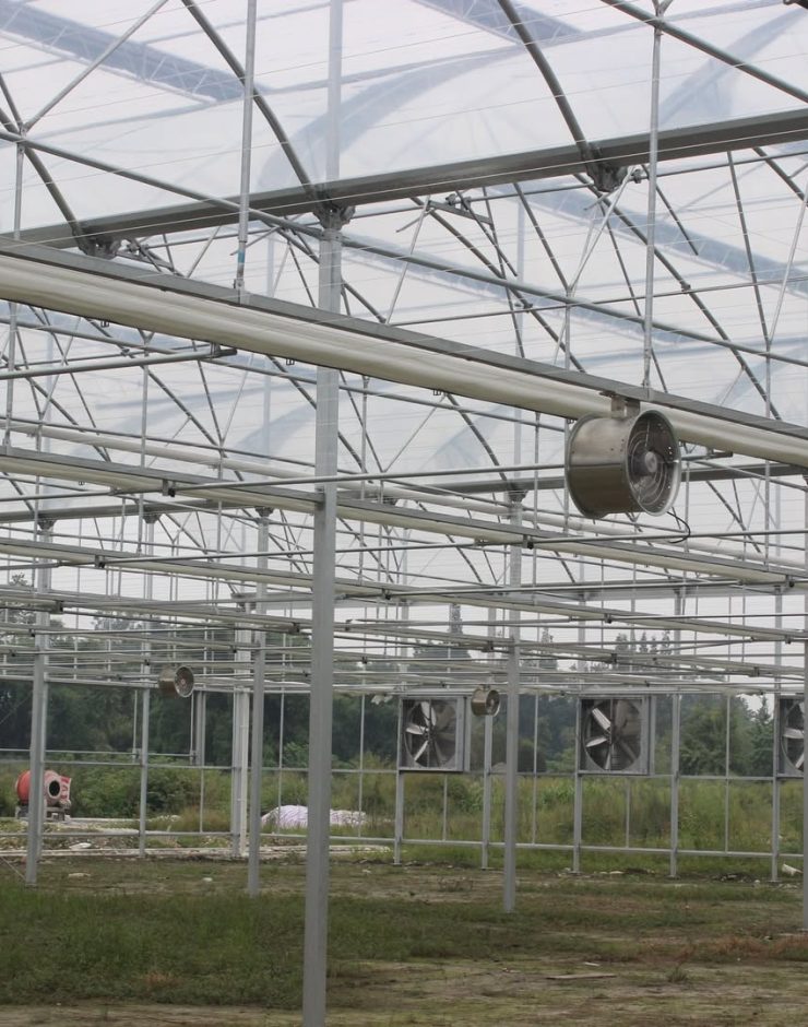 Heavy-duty extractor fans and air circulation fans installed in a commercial greenhouse in Nanyuki, Kenya to improve ventilation, temperature control, and humidity management.