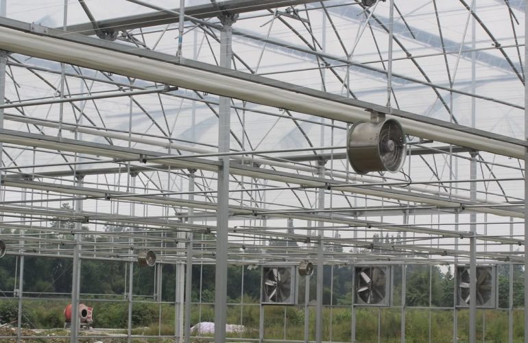 Heavy-duty extractor fans and air circulation fans installed in a commercial greenhouse in Nanyuki, Kenya to improve ventilation, temperature control, and humidity management.