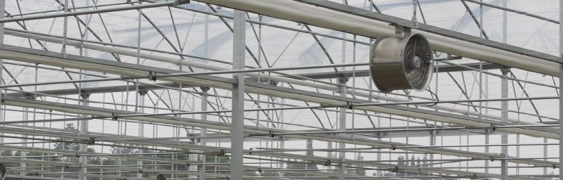 Heavy-duty extractor fans and air circulation fans installed in a commercial greenhouse in Nanyuki, Kenya to improve ventilation, temperature control, and humidity management.