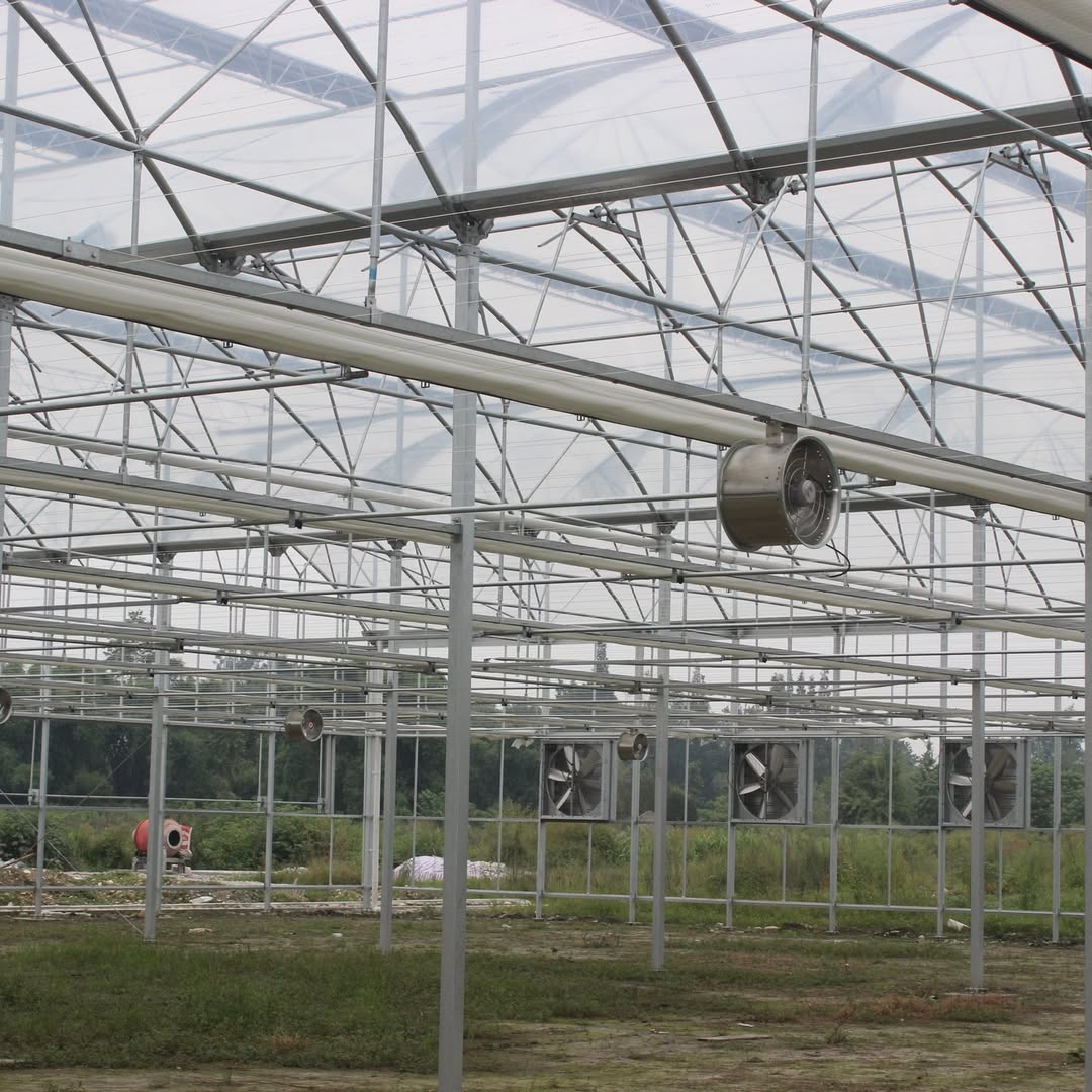 Heavy-duty extractor fans and air circulation fans installed in a commercial greenhouse in Nanyuki, Kenya to improve ventilation, temperature control, and humidity management.